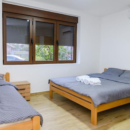Apartman Dina Sokobanja Extérieur photo